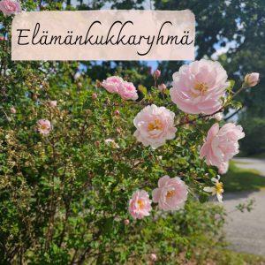 Elämänkukkaryhmä